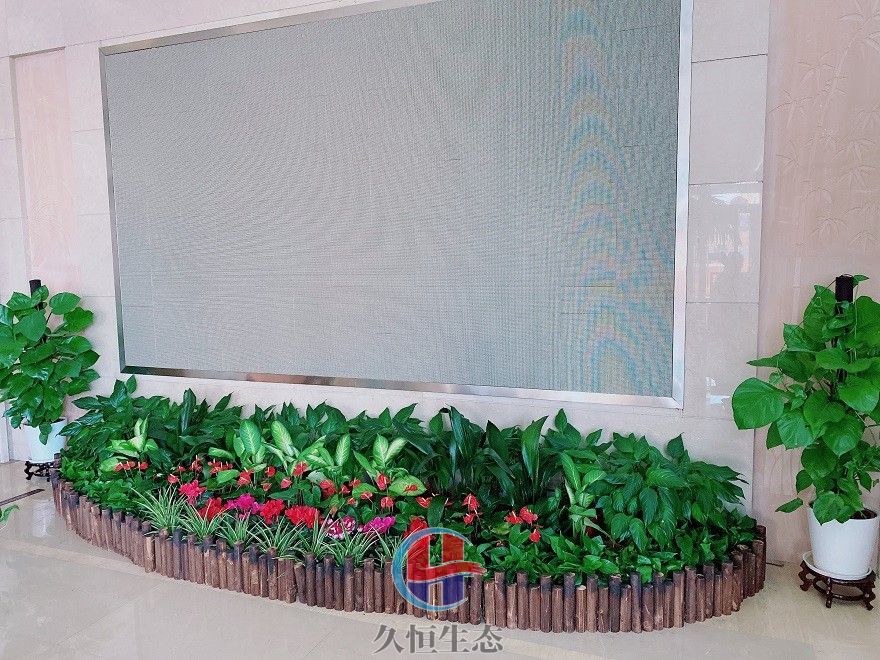 台州企业大厅显示屏组合花卉绿植摆放